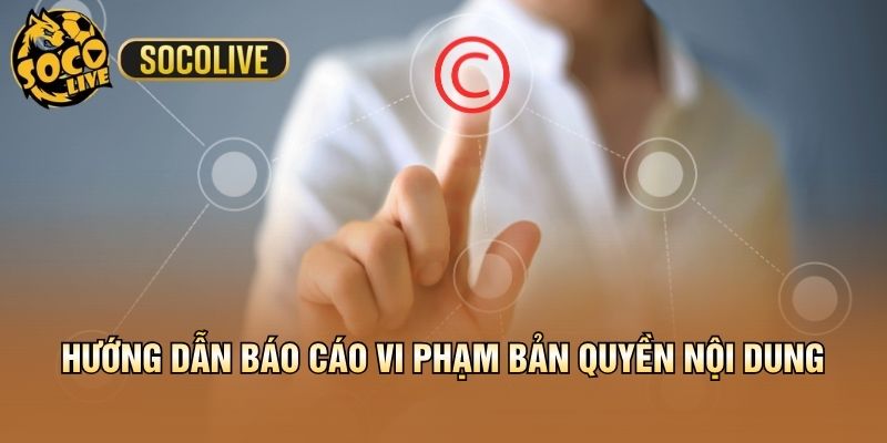 Hướng dẫn báo cáo vi phạm bản quyền nội dung